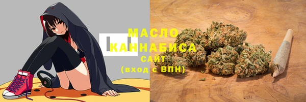 крисы Армянск