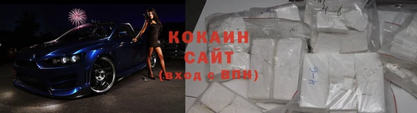 гидра Аркадак