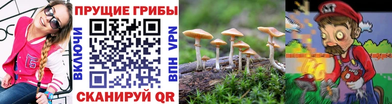 как найти закладки  Гатчина  OMG ссылки  Псилоцибиновые грибы ЛСД 